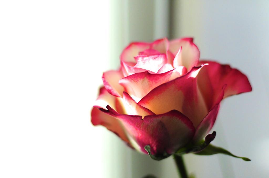 B&B Val Des Roses Μπριζ Εξωτερικό φωτογραφία
